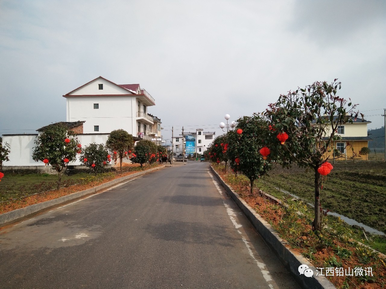 乡镇风采展示,乡镇风采