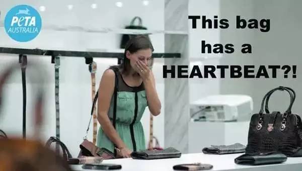 每日新单词,newbee一周新词排行榜