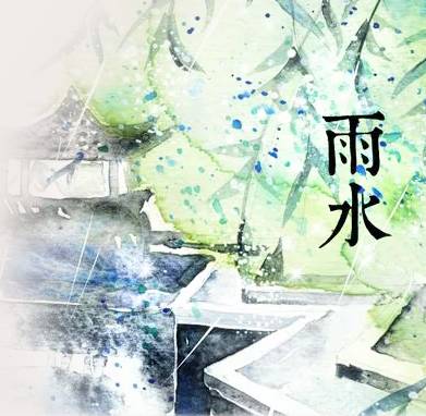 湿气重的喝什么茶护肝护肾,什么茶能护肝祛湿热