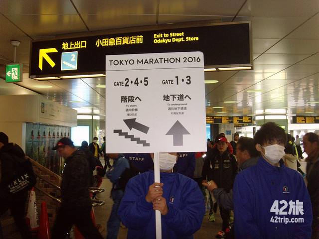 一场马拉松就是一座城市的深度游,记录跑马拉松比赛走过的城市