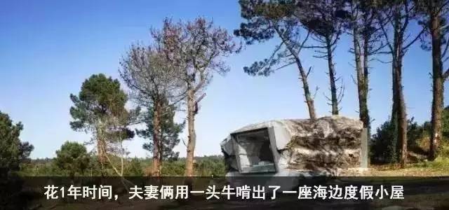 外国小鲜肉只花400元竟然租到了北京二环的房子，然而刚拿到房子的瞬间却差点哭了出来