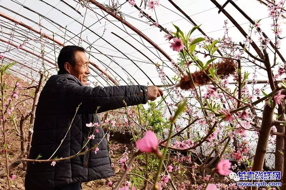 甘州大事件全集,甘州最近发生的事情