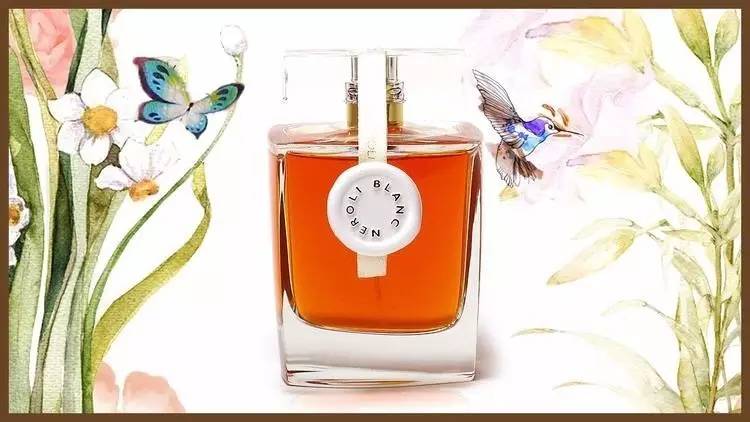 她做小三拿影后,你不能停止注视她|本周最IN