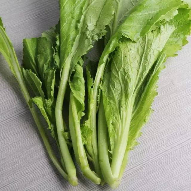 别错过五种常见野菜好吃又营养,春天有什么野菜有药用价值