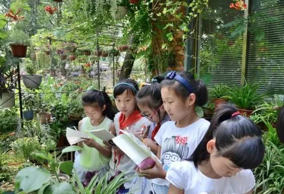 「美丽开发区」最美校园︱西苑小学：多彩润心静听花开