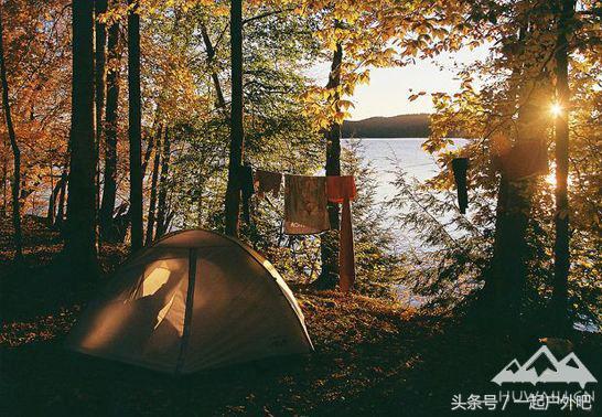 在野外被毒蛇咬伤怎么自救视频,露营被毒蛇咬了怎么办