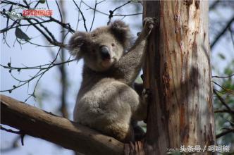 这些你不知道的冷知识,那些你不知道的十个冷知识