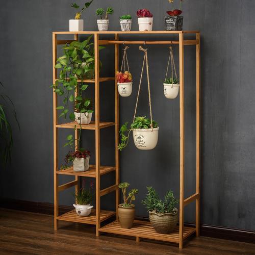 适合放大花的花架有哪些,花架用什么花比较好