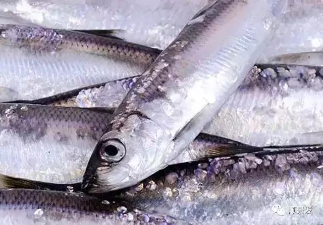 天下渔仓有机鱼,天下渔仓椒江店地址