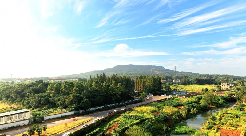 今年江宁房价跌得最厉害的是多少,江宁房价下跌是真的吗