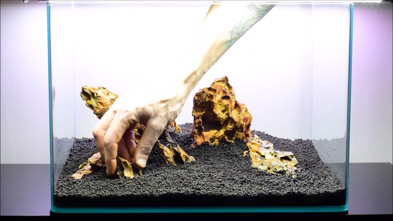 水草造景艺术从入门到精通pdf,初学水草造景教程