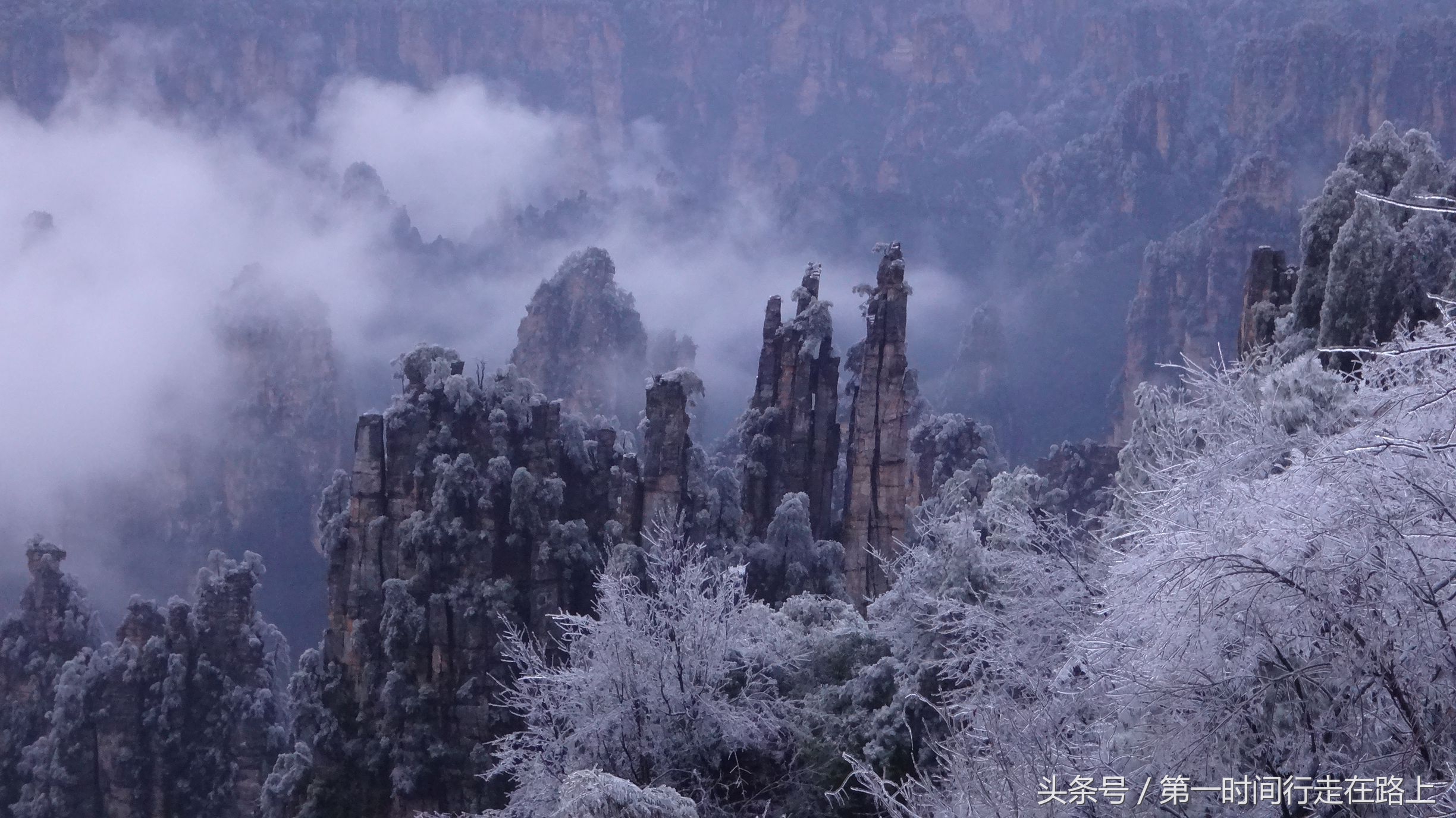 张家界浪漫之地,张家界最浪漫的婚纱