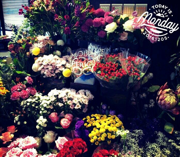 沈阳什么生日蛋糕好吃不腻,沈阳最好吃的蛋糕是哪个