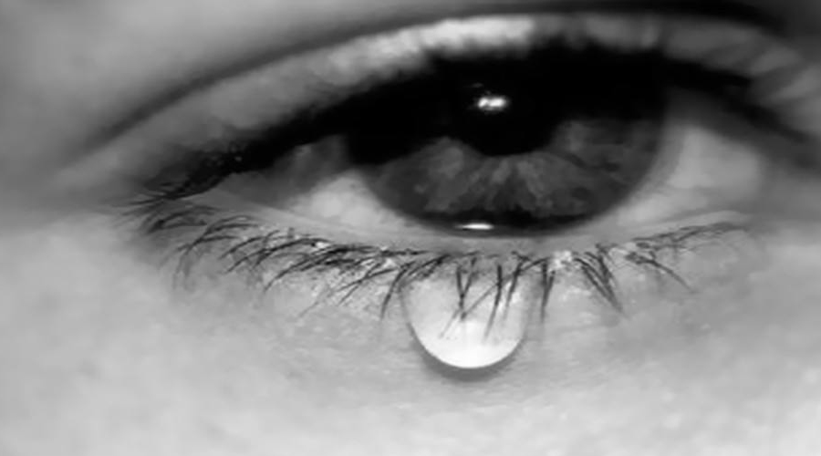 手机用多了眼疲劳,手机玩多了眼睛干涩用什么眼药水