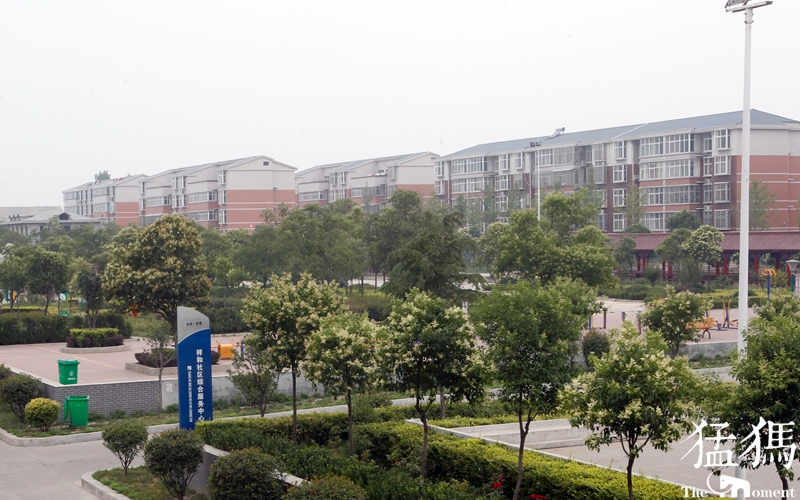 郑州新增三个免费景点,郑州规划的5a级景区