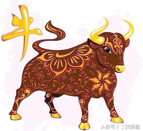 生肖牛出生时辰运势,生肖牛出生各时辰
