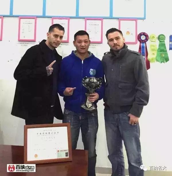 佳犬需近赏，上海包子恶霸犬舍再造围观！