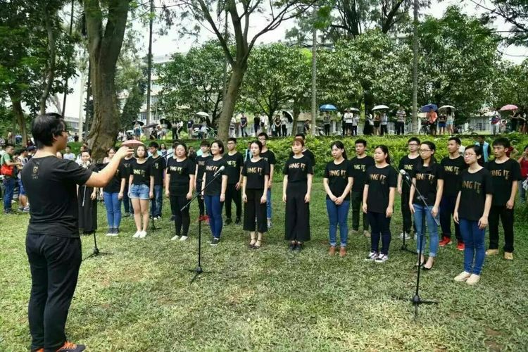 田野音乐会空降清逸园，花海与音乐，约不约？