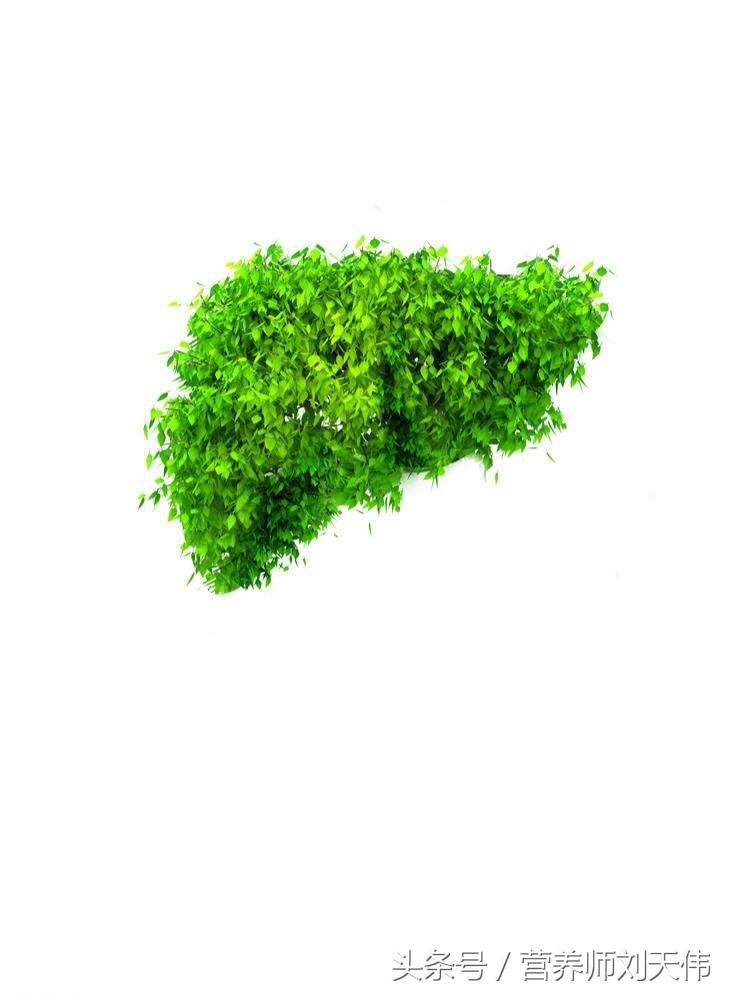 肝脏不好吃什么养生,中医肝脏养生知识讲解大全