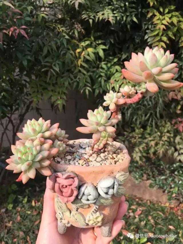 当大妈遇见帅哥,当大妈爱上邻家男孩