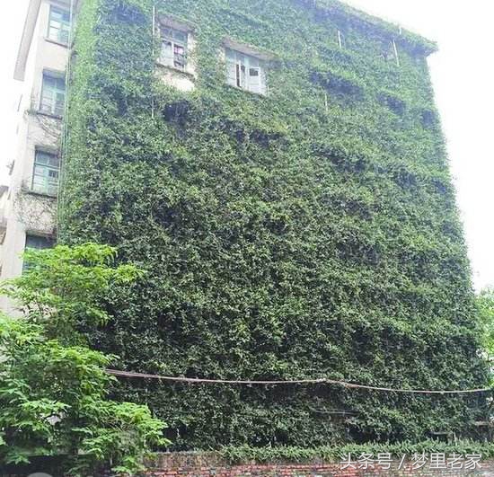 爱之徘徊（散文诗一组）