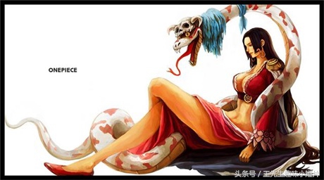 海贼王乔巴假扮船长,海贼王草帽海贼团乔巴悬赏金