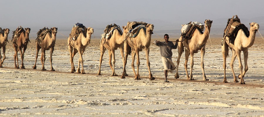 想去中东旅行？这位非洲人的环游中东经历值得参考