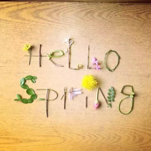 少女与猫咪,少女与猫唯美图片