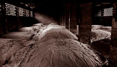 摘取“酒坛”桂冠的大师，只为有灵魂的好酒！