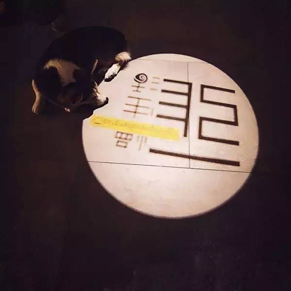 常州这间工作室有个性，有病治病，没病还能治不开心