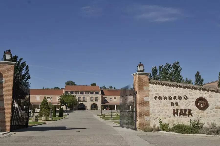 媲美茅台的酒叫什么,媲美茅台王子的酒