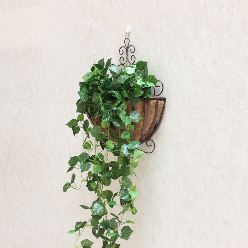 适合放大花的花架有哪些,花架用什么花比较好