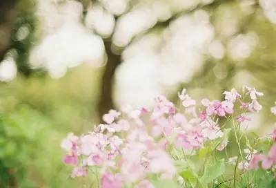 女性最关心的妇科防治知识——实用问答集锦22题