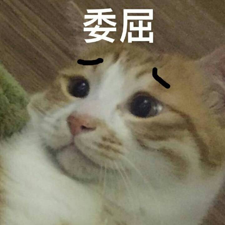 外贸业务员有没有前途,外贸业务员和运营哪个好