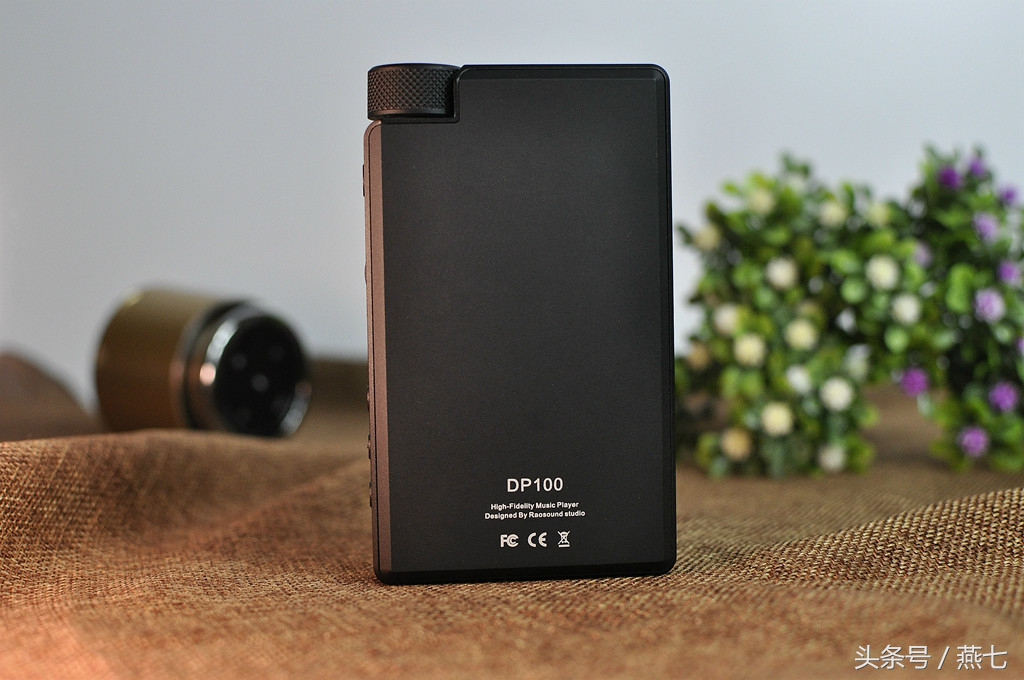 理性之音,理性之声