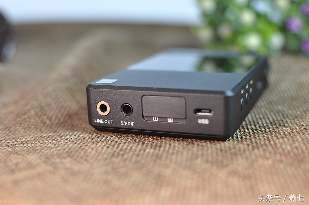 理性之音,理性之声