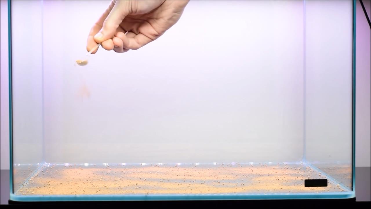 水草造景艺术从入门到精通pdf,初学水草造景教程