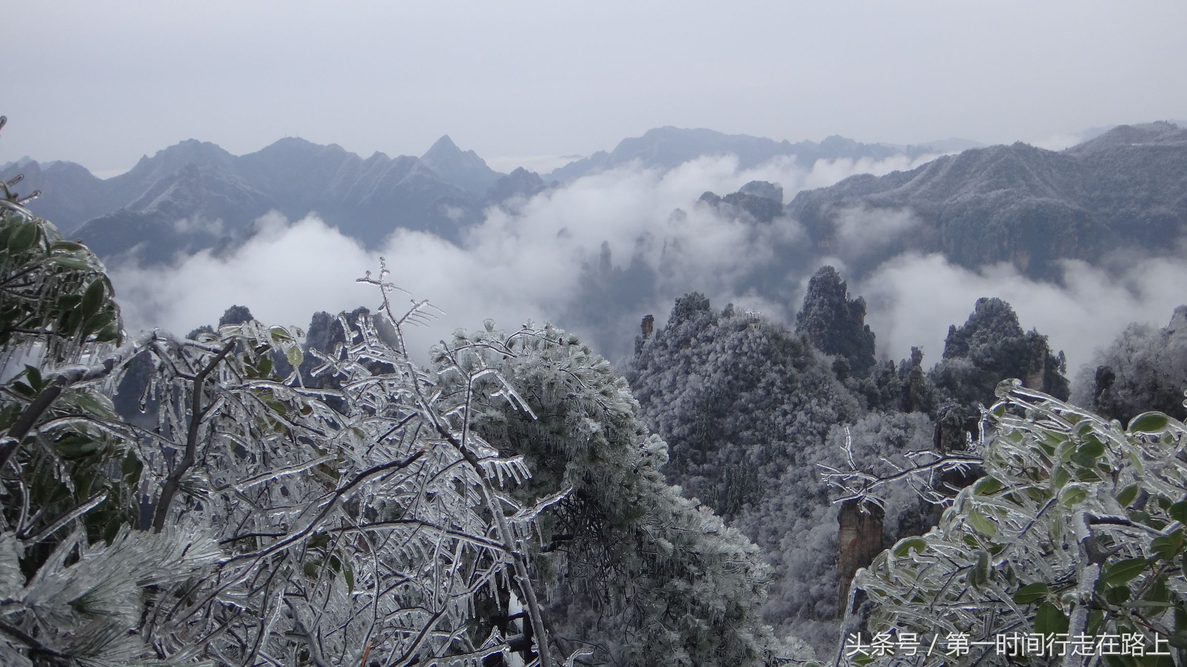 张家界浪漫之地,张家界最浪漫的婚纱