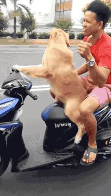 在家如何拔牙最快而且不疼的方法,最快又不痛的在家拔牙方法儿童