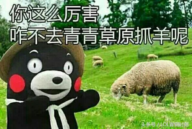 为什么英雄联盟一把只加十几分,为什么英雄联盟青铜局都一级团