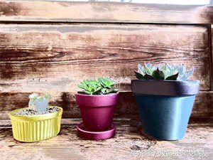 十大公认最好的卡片相机,2023公认最好长变焦卡片相机