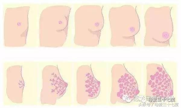 女人生了宝宝没有奶,刚生宝宝没有奶怎么办