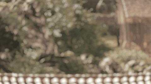 狙击精英4子弹测评,狙击精英4真实度评价