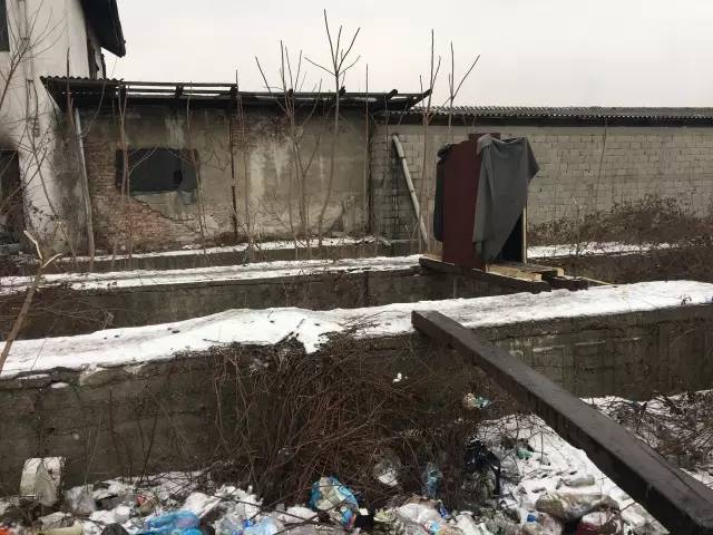 塞尔维亚的难民生活,塞尔维亚难民