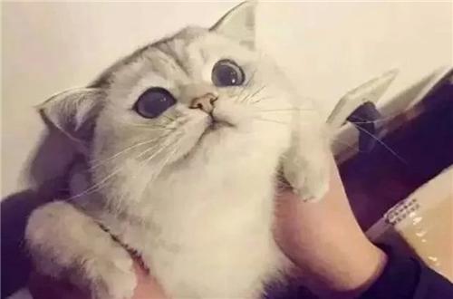 涂上口红好丑,涂上口红就不憔悴了