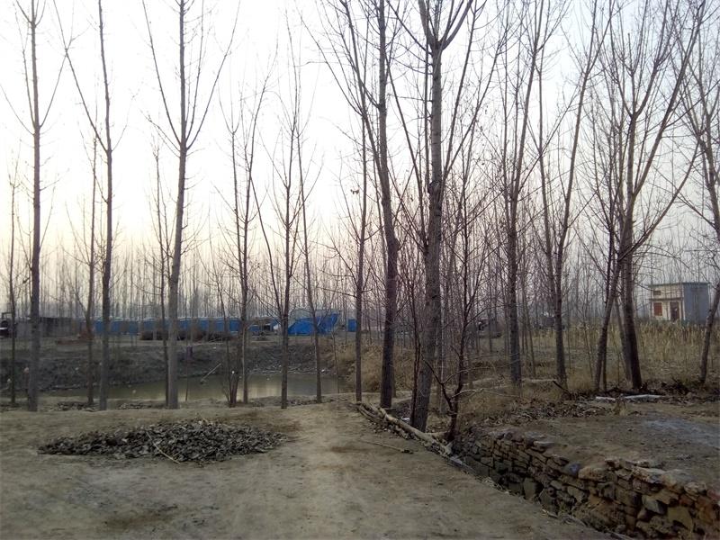 流畅书写平板,流畅剪映的平板