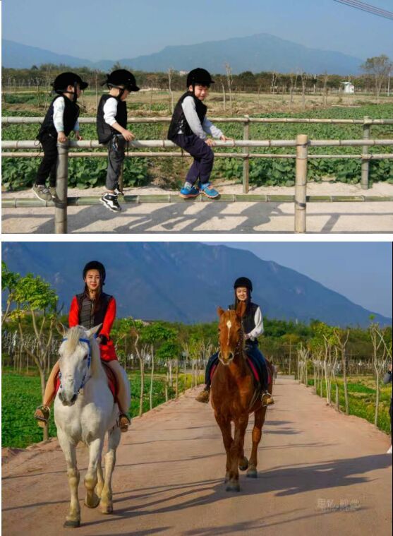 田野音乐会空降清逸园，花海与音乐，约不约？