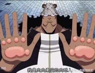 最适合用来送快递的五颗恶魔果实,最后一个直接让快递公司歇菜