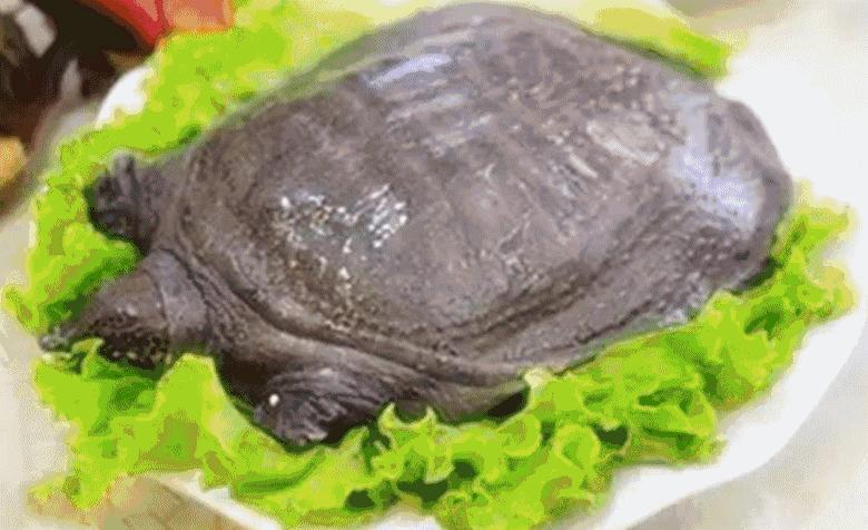 开店8年,开了八年火了八年的店