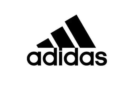 揭秘世界首富抄袭的真相,揭秘抄袭成为世界首富的真相